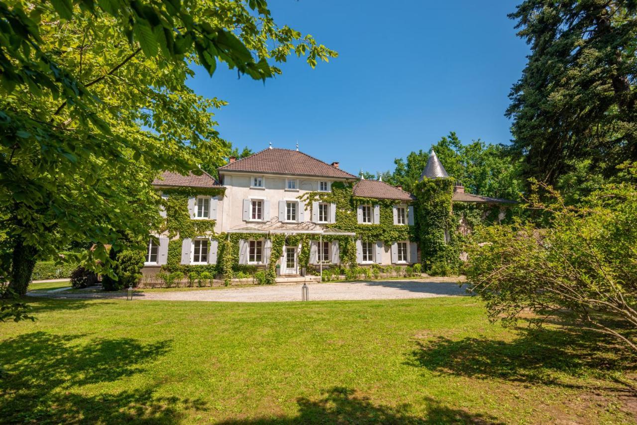 Chateau Des Ayes - Chambres & Suites Saint-Étienne-de-Saint-Geoirs Buitenkant foto
