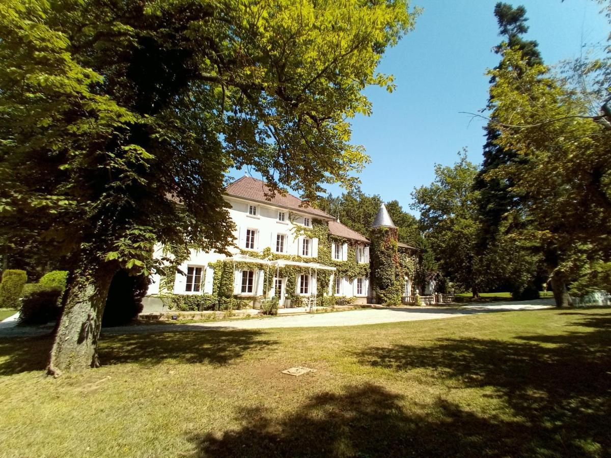 Chateau Des Ayes - Chambres & Suites Saint-Étienne-de-Saint-Geoirs Buitenkant foto
